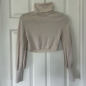 Aritzia Longsleeve Turtleneck Sweater